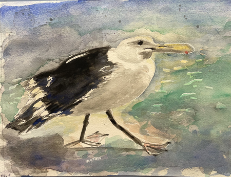 Seagull I